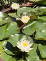 真言宗 善通寺派 薬王寺(香川県)