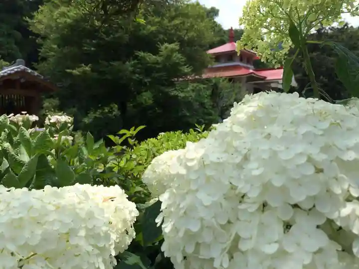 千光寺(福岡県)