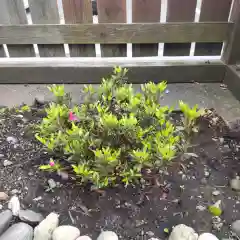 七重浜海津見神社(北海道)