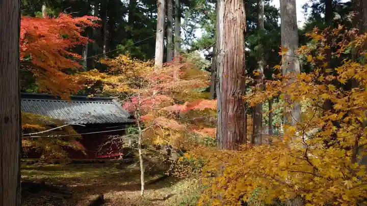 日光山輪王寺 大猷院(栃木県)
