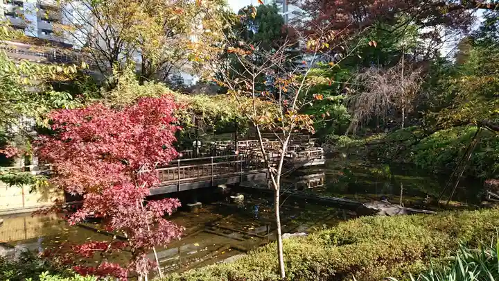 東郷神社の庭園