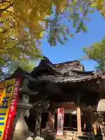 田無神社の本殿・本堂