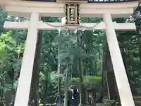 飛瀧神社(熊野那智大社別宮)の鳥居