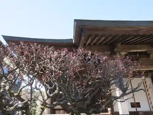 極楽寺（霊鷲山感應院極楽律寺）のその他建物