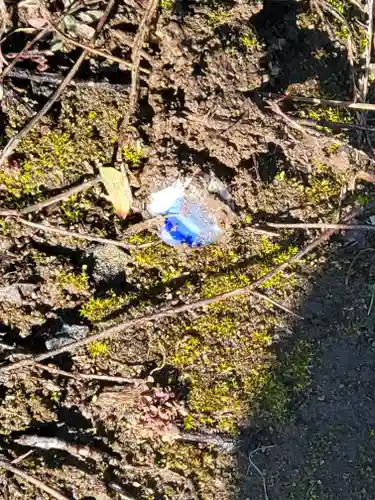 搭ノ木稲荷神社(栃木県)