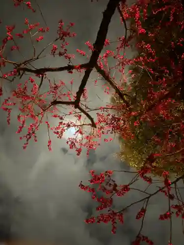 櫛田神社の{uncategorized: "未分類", other: "その他", undefined: "問題あり", building: "その他建物", grave: "お墓", sacred_gate: "鳥居", guardian: "狛犬", statue: "像", buddha: "仏像", history: "歴史", nature: "自然", garden: "庭園", animal: "動物", pagoda: "塔", temizu: "手水舎", mountain_gate: "山門・神門", sanctuary: "本殿・本堂", subordinate: "末社・摂社", art: "芸術", scenery: "景色", jizo: "地蔵", ema: "絵馬", goshuin: "御朱印", omikuji: "おみくじ", items: "授与品その他", amulet: "お守り", goshuincho: "御朱印帳", eats: "食事", festival: "お祭り", votive_dance: "神楽", shichigosan: "七五三参", wedding: "結婚式", experience: "体験その他", initially: "初詣", around: "周辺", anti_infection: "感染症対策"}