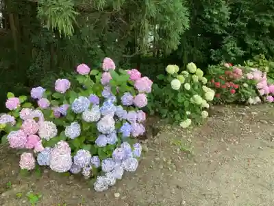 白山神社の自然