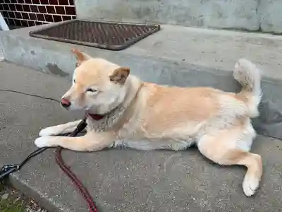 宮原八幡宮(栃木県)