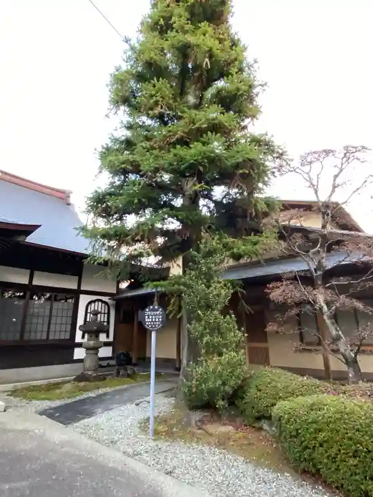 東昌寺のその他建物