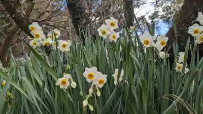 平野神社(京都府)