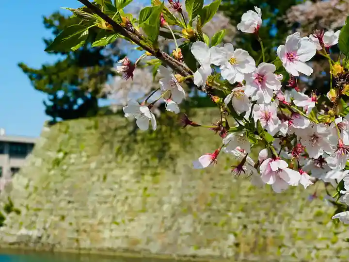 福井神社(福井県)
