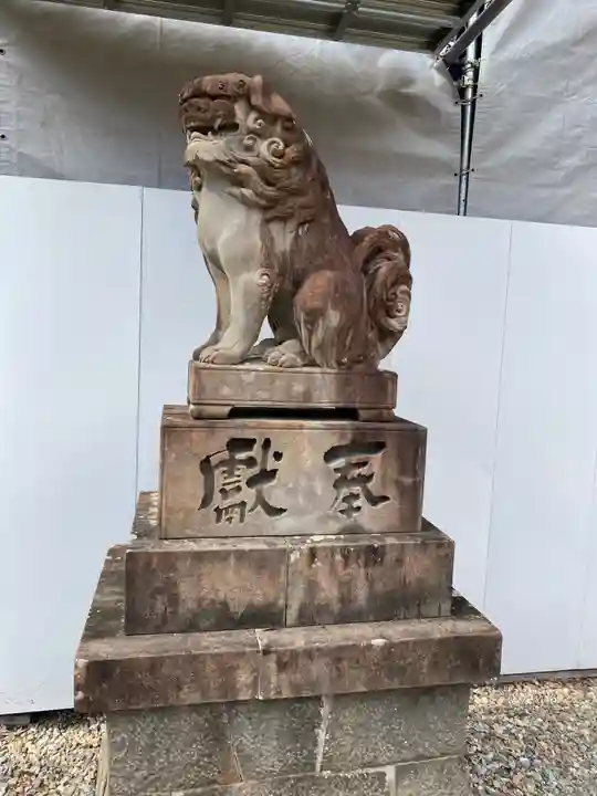 柏原八幡宮の狛犬
