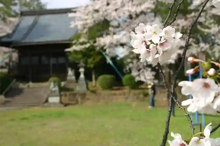 琵琶神社の自然