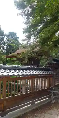 兵主大社の本殿・本堂