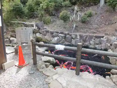 大野神社(滋賀県)
