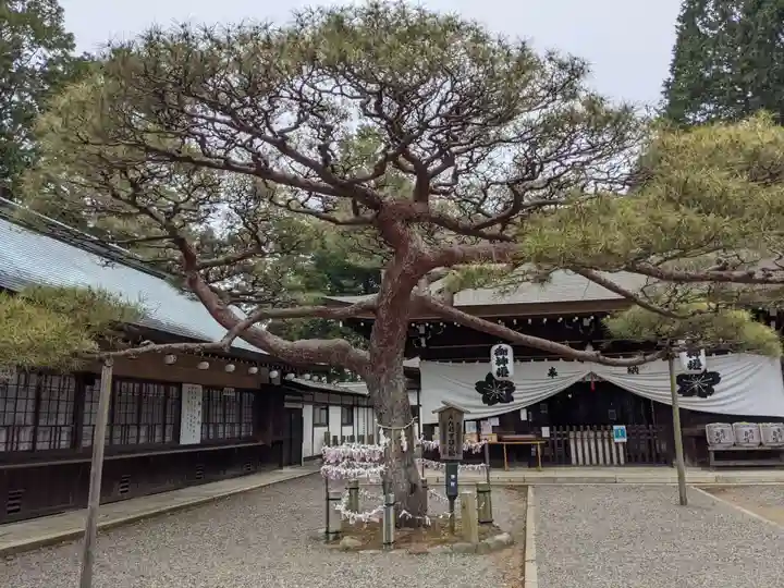 尾張冨士大宮浅間神社の自然