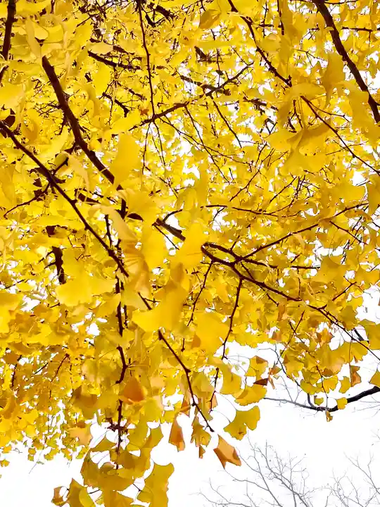 阿邪訶根神社(福島県)