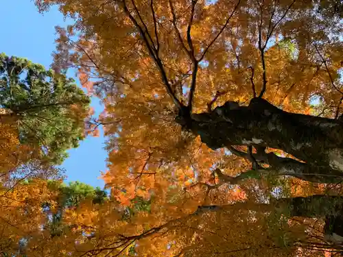 熱田神社の自然