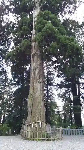 戸隠神社中社(長野県)