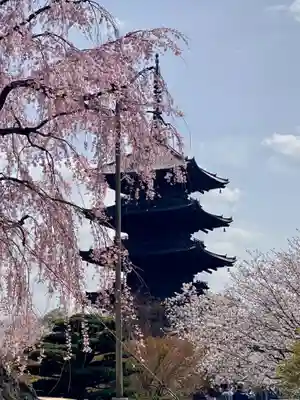 東寺(教王護国寺)の塔