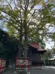 多摩川浅間神社の建物その他