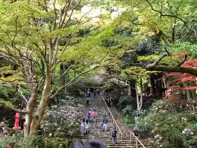 室生寺のその他建物