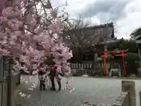 櫻本坊の本殿・本堂