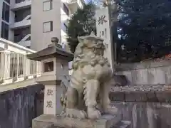 白金氷川神社の狛犬