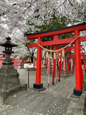 於菊稲荷神社の鳥居