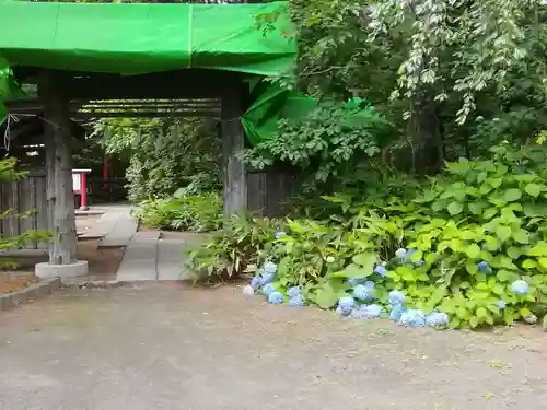 白石神社の山門