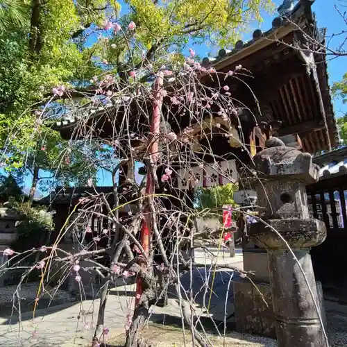 牛嶋天満宮(佐賀県)