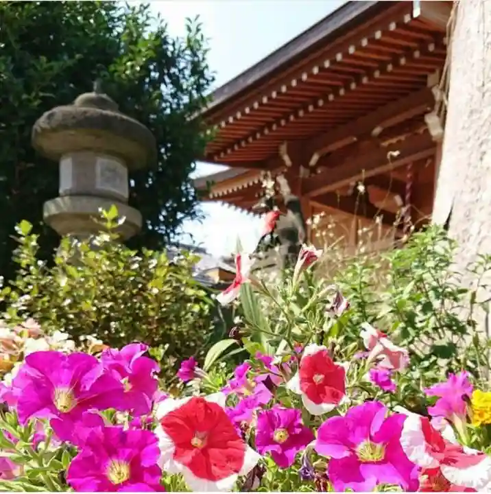 於菊稲荷神社の自然