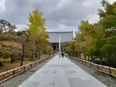 根来寺 智積院(京都府)