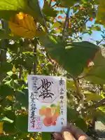 妙蓮寺(神奈川県)