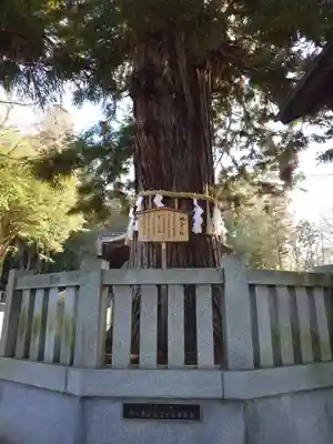 諏訪大社下社秋宮(長野県)