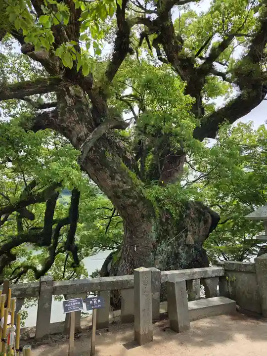 與止日女神社(佐賀県)