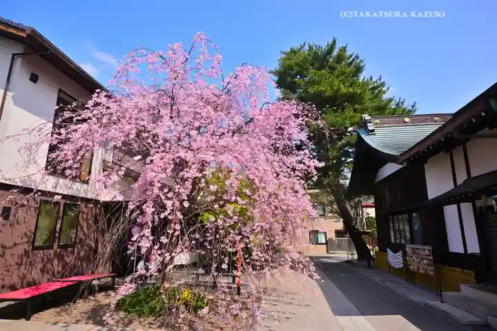 猿田彦神社(東京都)