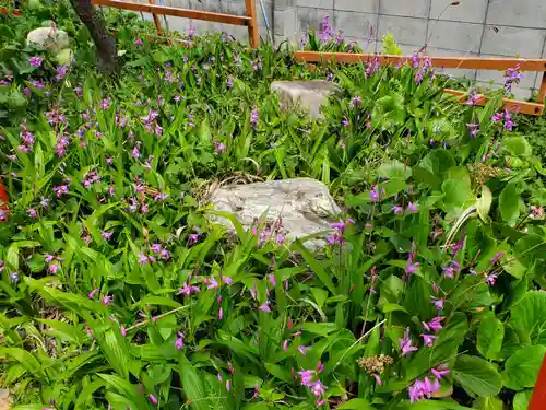 難波熊野神社の自然