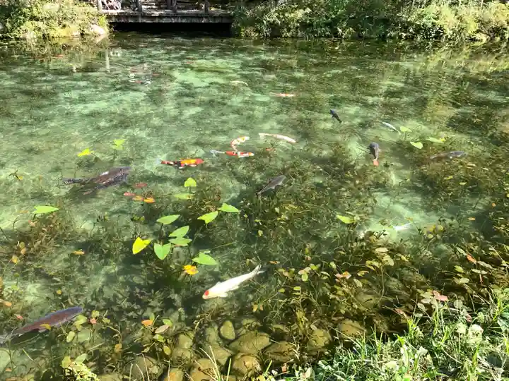 根道神社の自然
