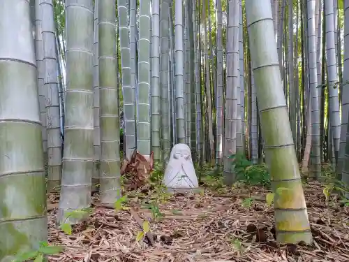 東圓寺(埼玉県)