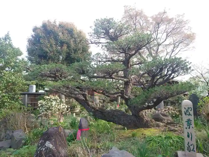 常泉寺(神奈川県)