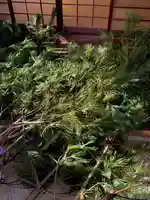 蚊里田八幡宮(長野県)