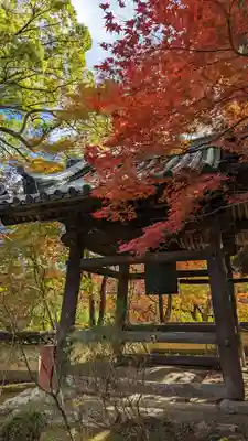 十輪寺(京都府)