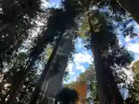 大宮温泉神社の自然