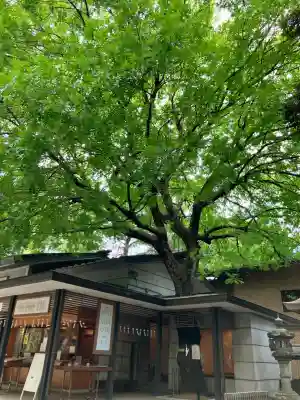 乃木神社(東京都)