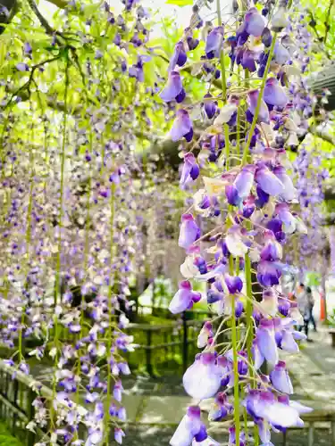 行興寺(静岡県)