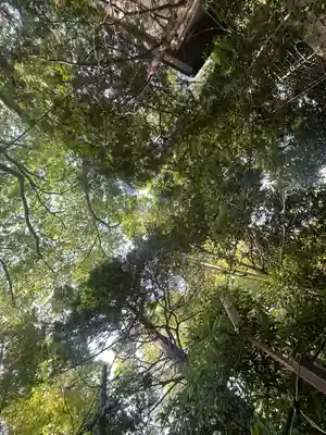 座間神社(神奈川県)