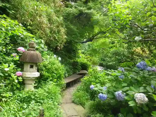 瑞泉寺の庭園