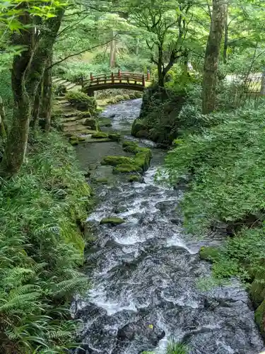 横蔵寺の庭園