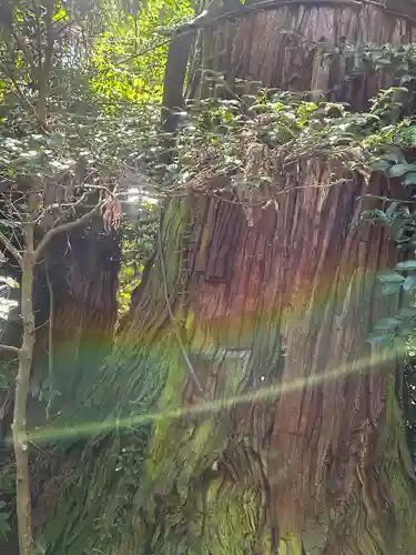 香取神宮(千葉県)